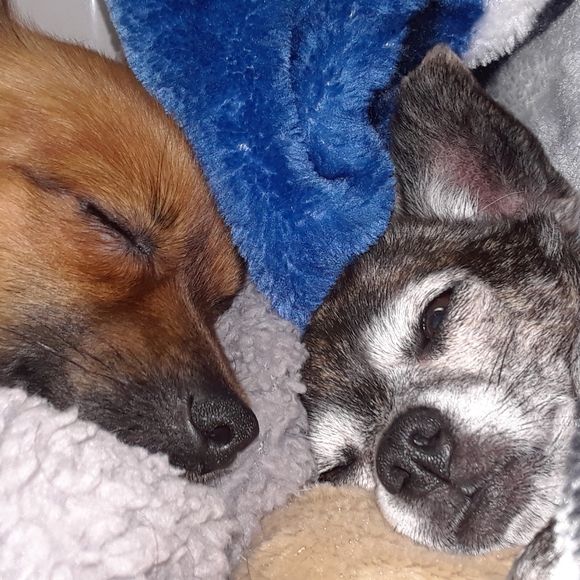 VINTAGE,VINTAGE, AND MORE VINTAGE - Picture 4 of 6